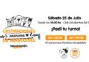 Armstrong: Castraciones masivas y gratuitas de mascotas