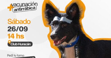 Armstrong: Castraciones masivas y gratuitas
