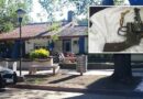 Las Parejas: aprehendieron a un hombre por lesiones y amenazas con arma